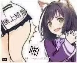 双子乙女(千奈)评测,重铸老牌荣光,吾辈义不容辞