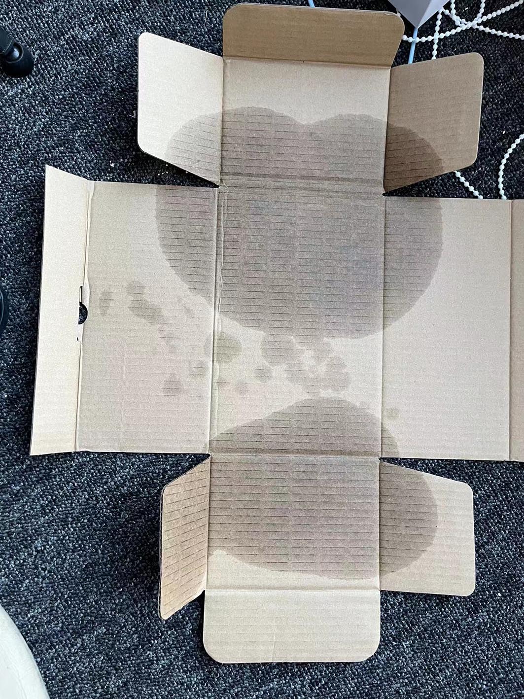 含有滑石粉会致癌？今天仔细讲讲保养粉的原理和使用