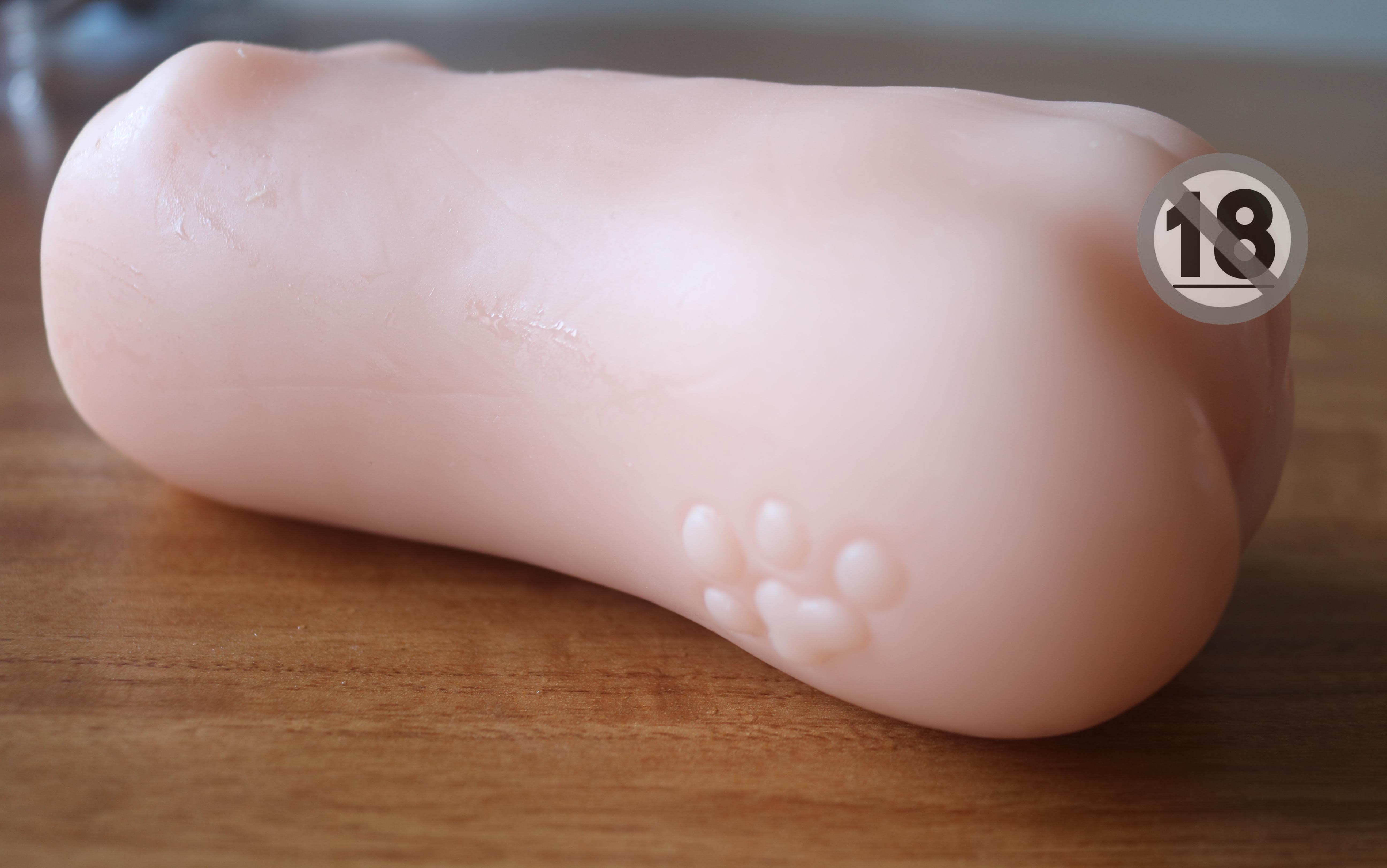 “我和我的动物朋友!”趣网美优酱评测(进阶)评测,无口系猫娘