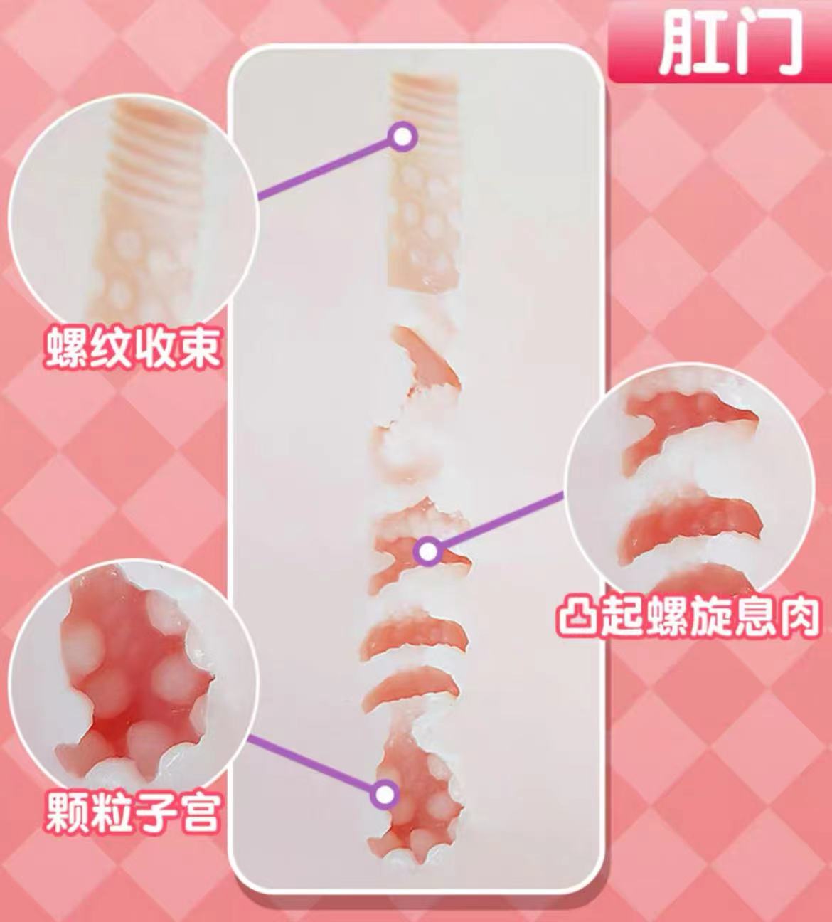 GXP-大吉樱子(半身)对比评测,身体倒模的选择该如何考虑?