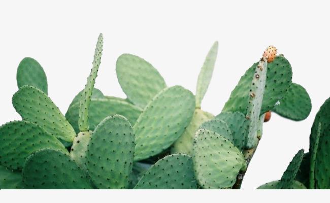 对子哈特—恶作剧上司(高刺激),难以按捺的热情与无法抵抗的刺激