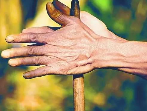 汤马托易士-班级委员长评测!特意保留了大颗粒的味道,这样你才知道玩的是日系杯子