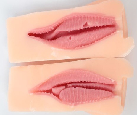 汤马托易士-班级委员长评测!特意保留了大颗粒的味道,这样你才知道玩的是日系杯子