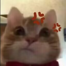 汤玛托易士-“傲慢表妹”评测!另一种口味的慢玩,松垮设计型慢玩!