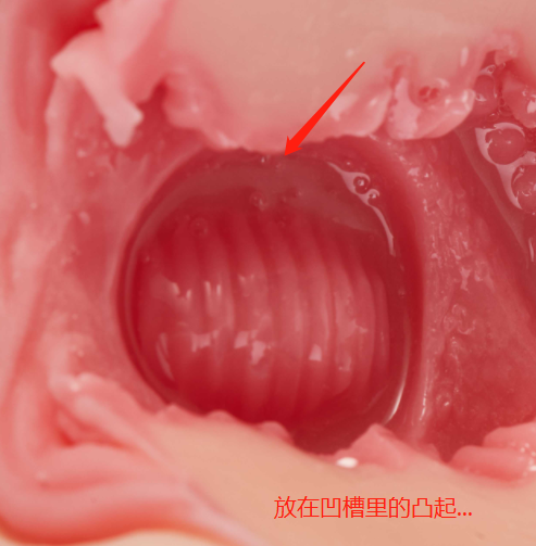 趣网-琉璃兔(排气杯)评测!高质量胶体!玩法类似R20的进阶长形名器