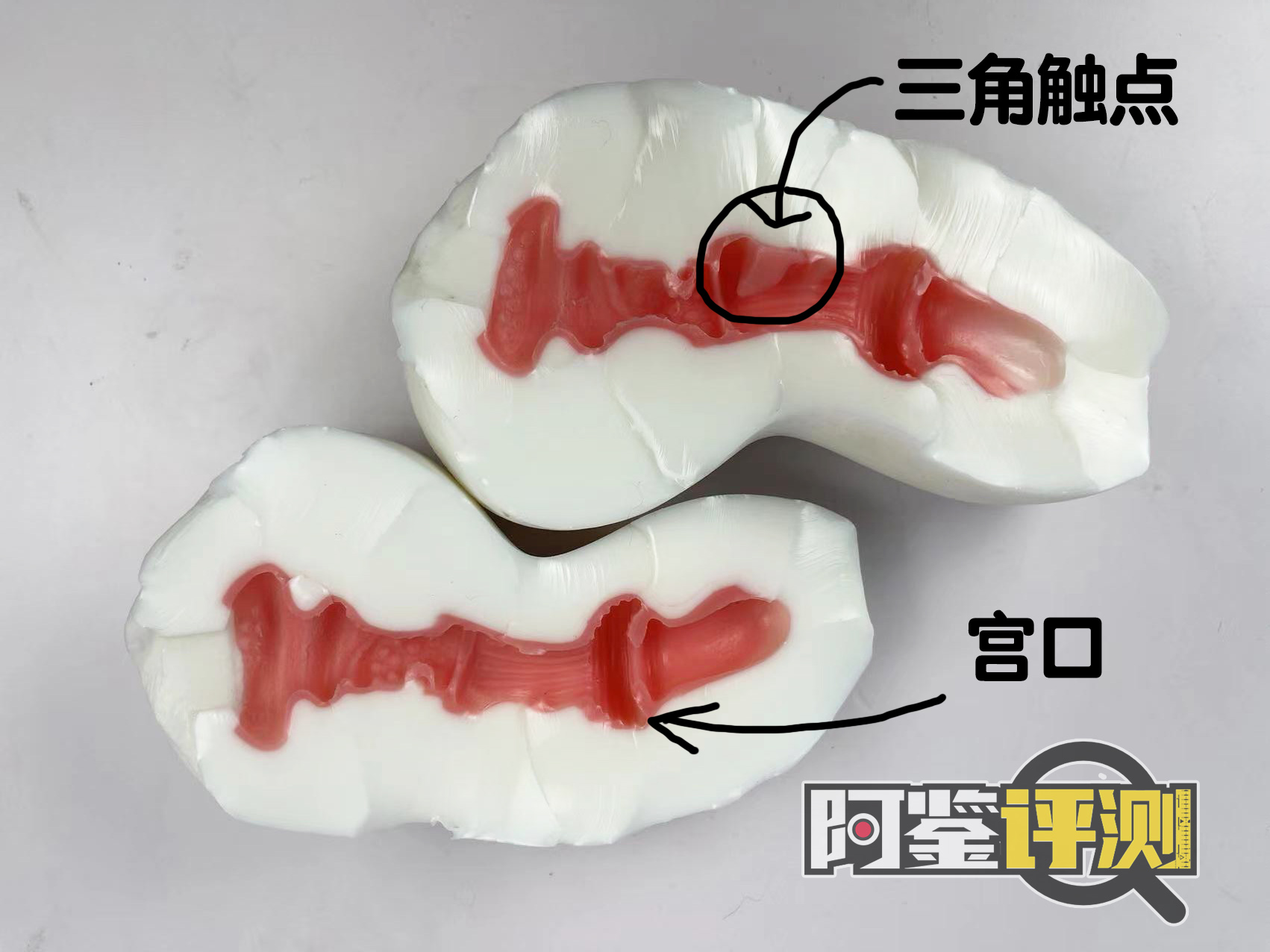 GXP-“觉醒子宫“(中高刺激)评测!白色的雪山妖精,更高的硬质感刺激?