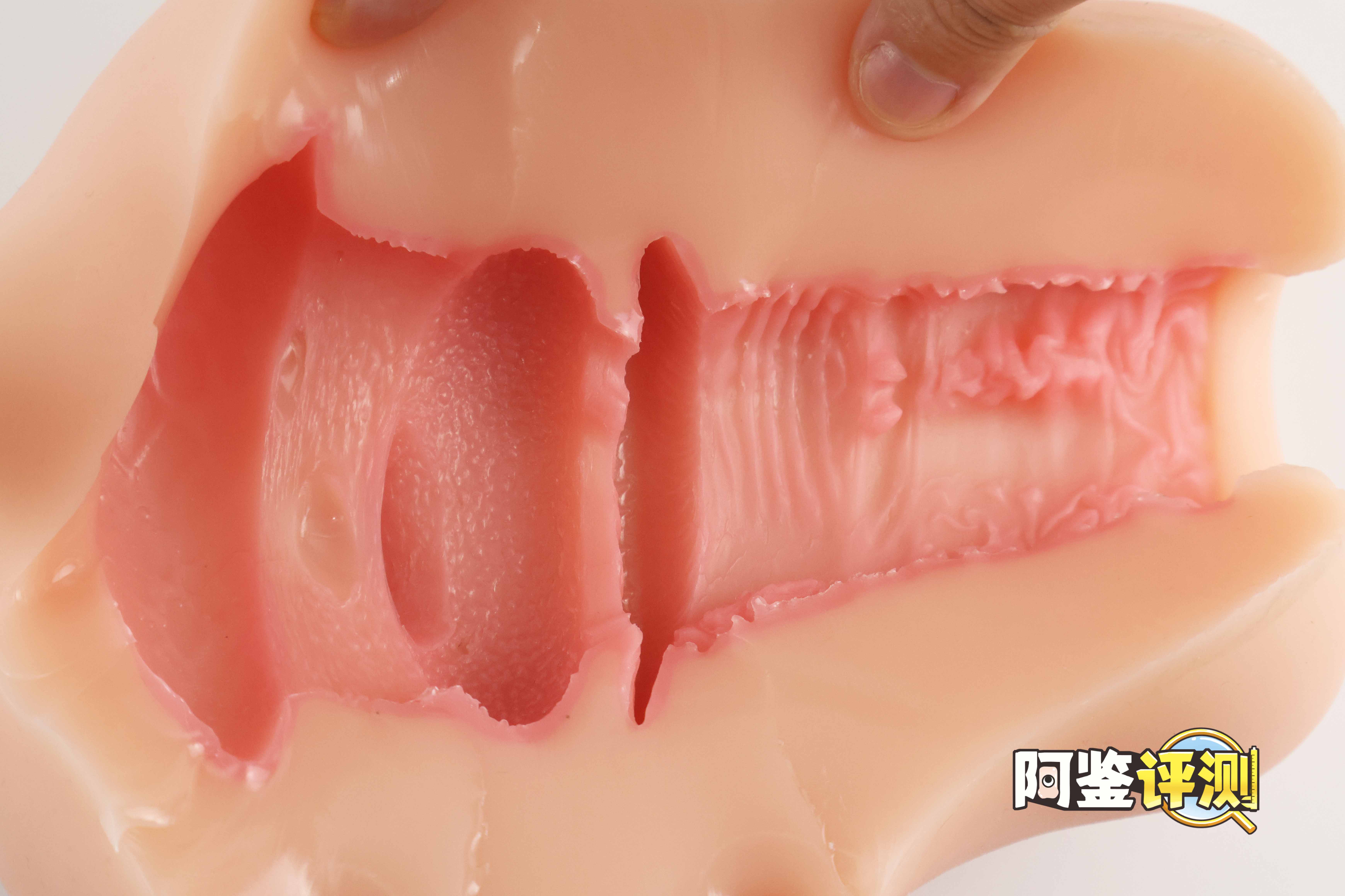 GXP-“赫萝猫娘”评测(高刺激)!要…要被猫猫“暴风吸入”惹!