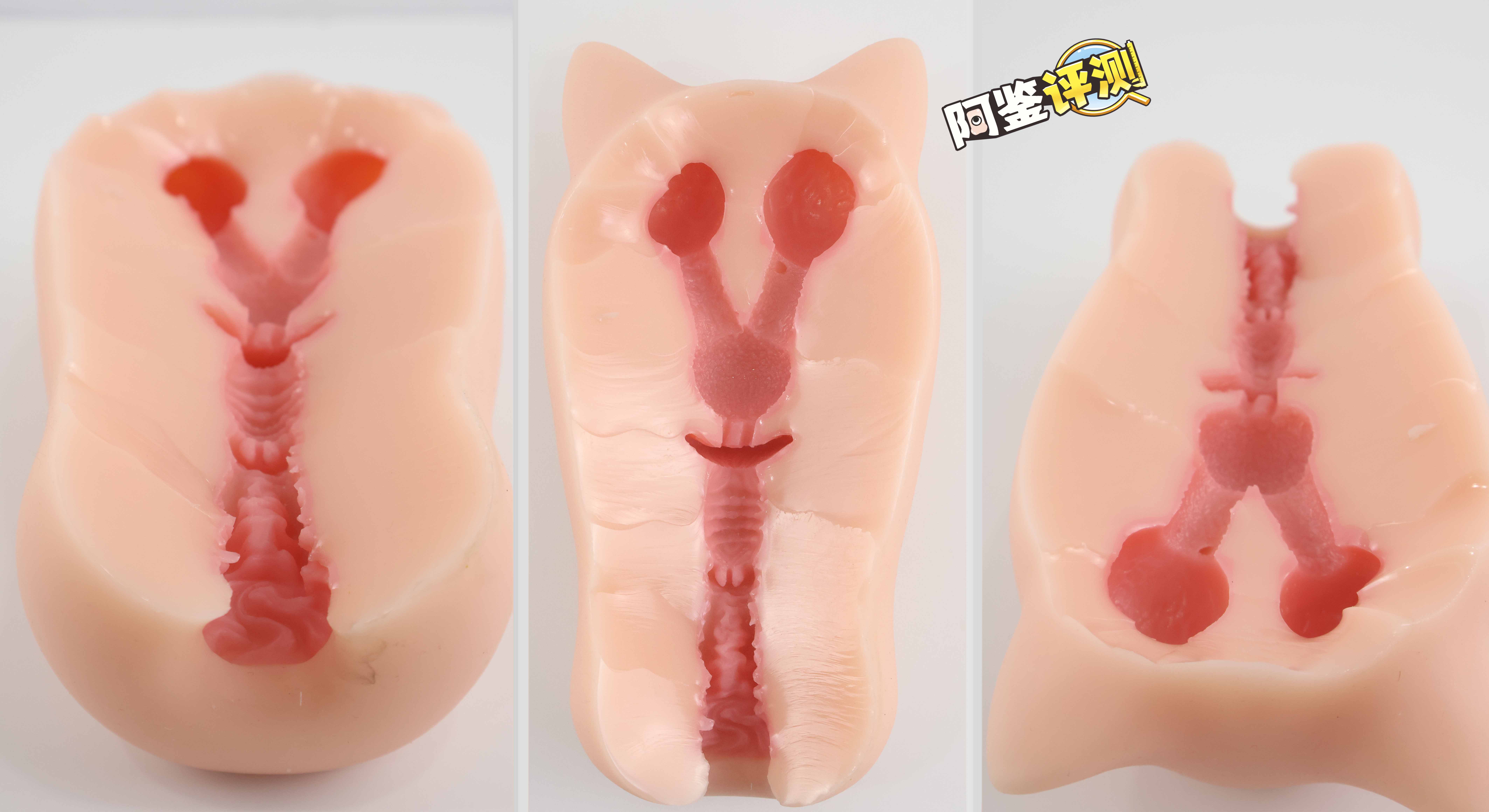 GXP-“赫萝猫娘”评测(高刺激)!要…要被猫猫“暴风吸入”惹!