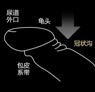 Ride-Japan“包福Z”评测!前软后硬的旋转横纹,弹性手感的温柔刺激!