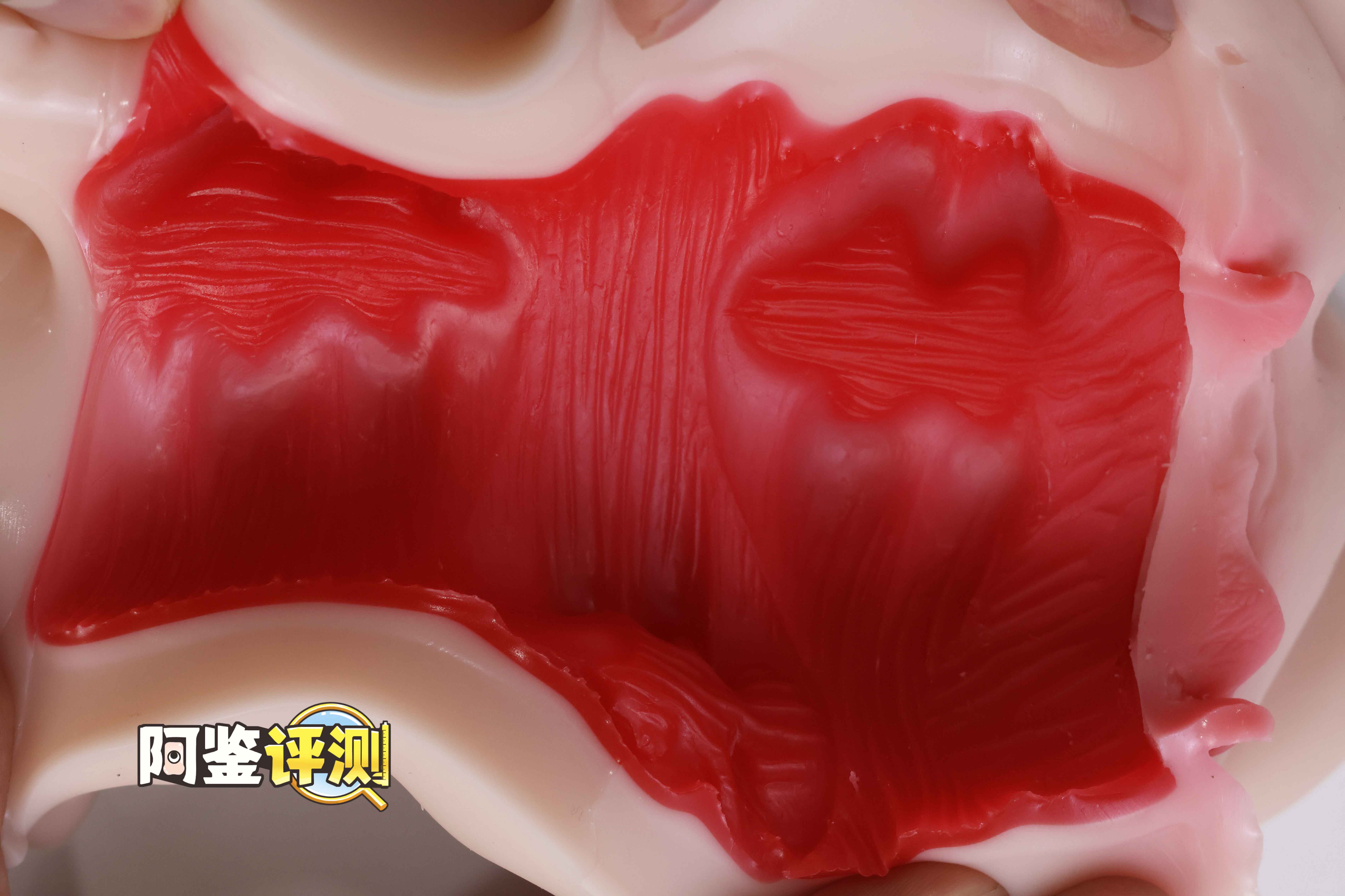 HRPR—“铃鹿学妹”评测!新品牌首秀!又一款三层慢玩设计飞机杯~