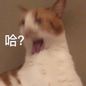 2023年秋(7-9月)评测大总结,综合排名集合!弟弟喜欢的好东西大盘点!