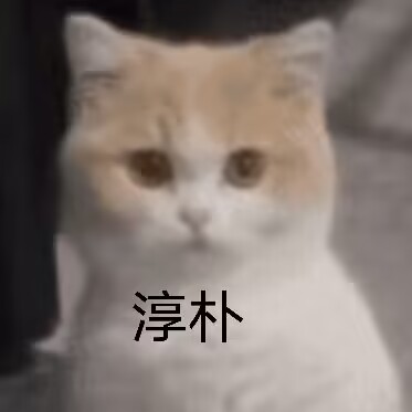 2023年秋(7-9月)评测大总结,综合排名集合!弟弟喜欢的好东西大盘点!