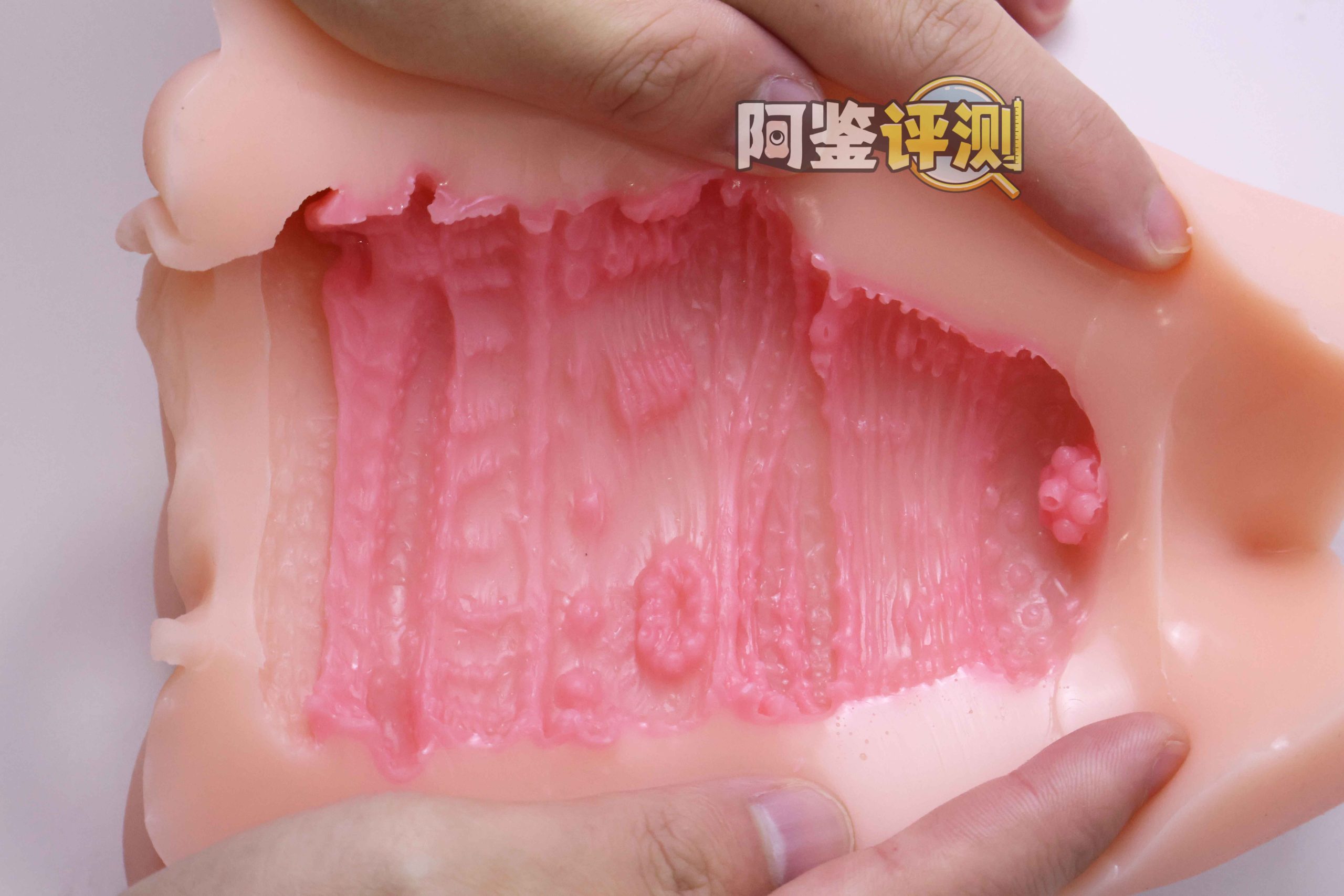 GXP—“工口新入生”评测!毫无压力的宽松型慢玩!平淡但不太腻