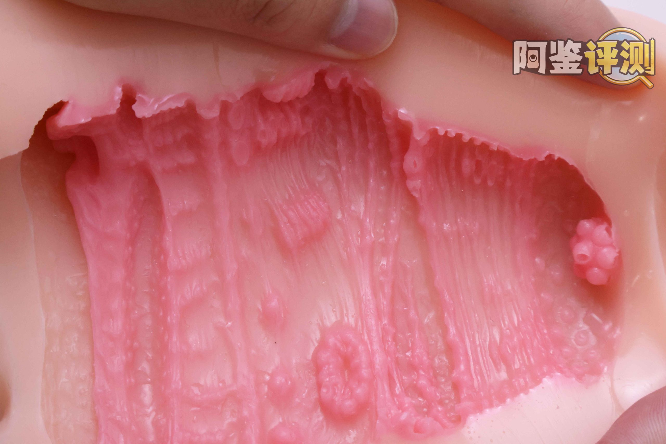 GXP—“工口新入生”评测!毫无压力的宽松型慢玩!平淡但不太腻