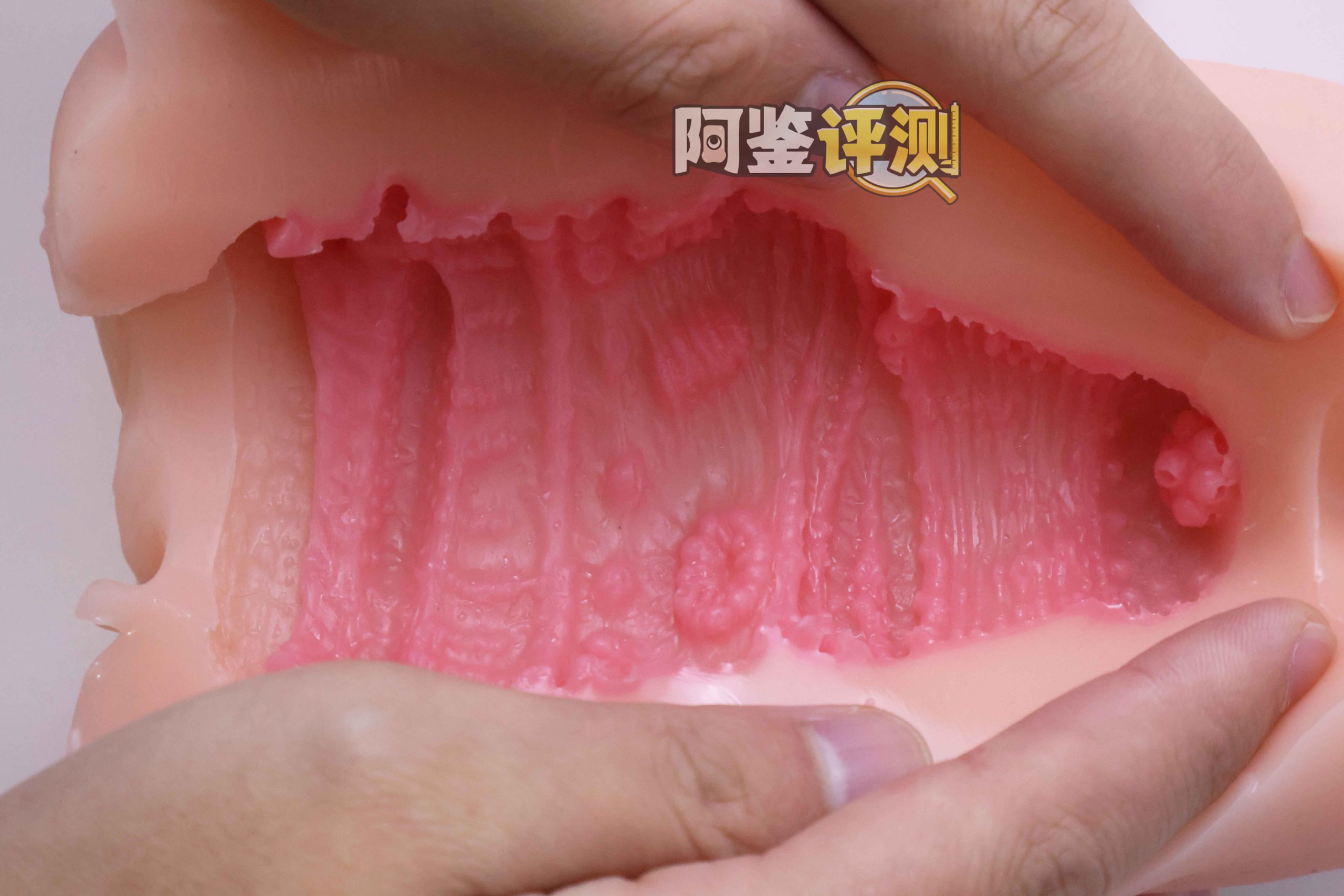 GXP—“工口新入生”评测!毫无压力的宽松型慢玩!平淡但不太腻