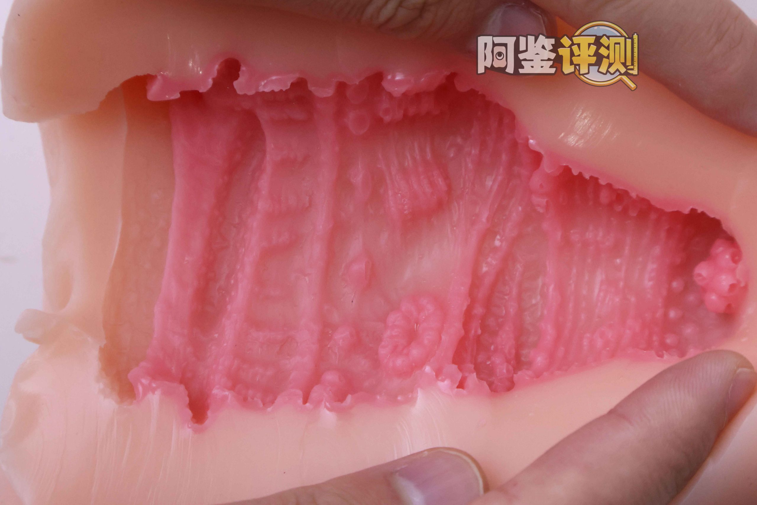 GXP—“工口新入生”评测!毫无压力的宽松型慢玩!平淡但不太腻