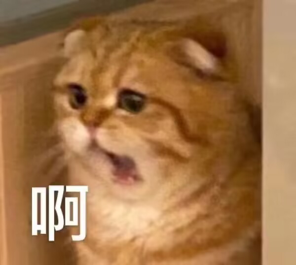 RIDE JAPAN——“眼镜娘护士”评测!对于颗粒感超强的慢玩,牛牛的反应不太确定...