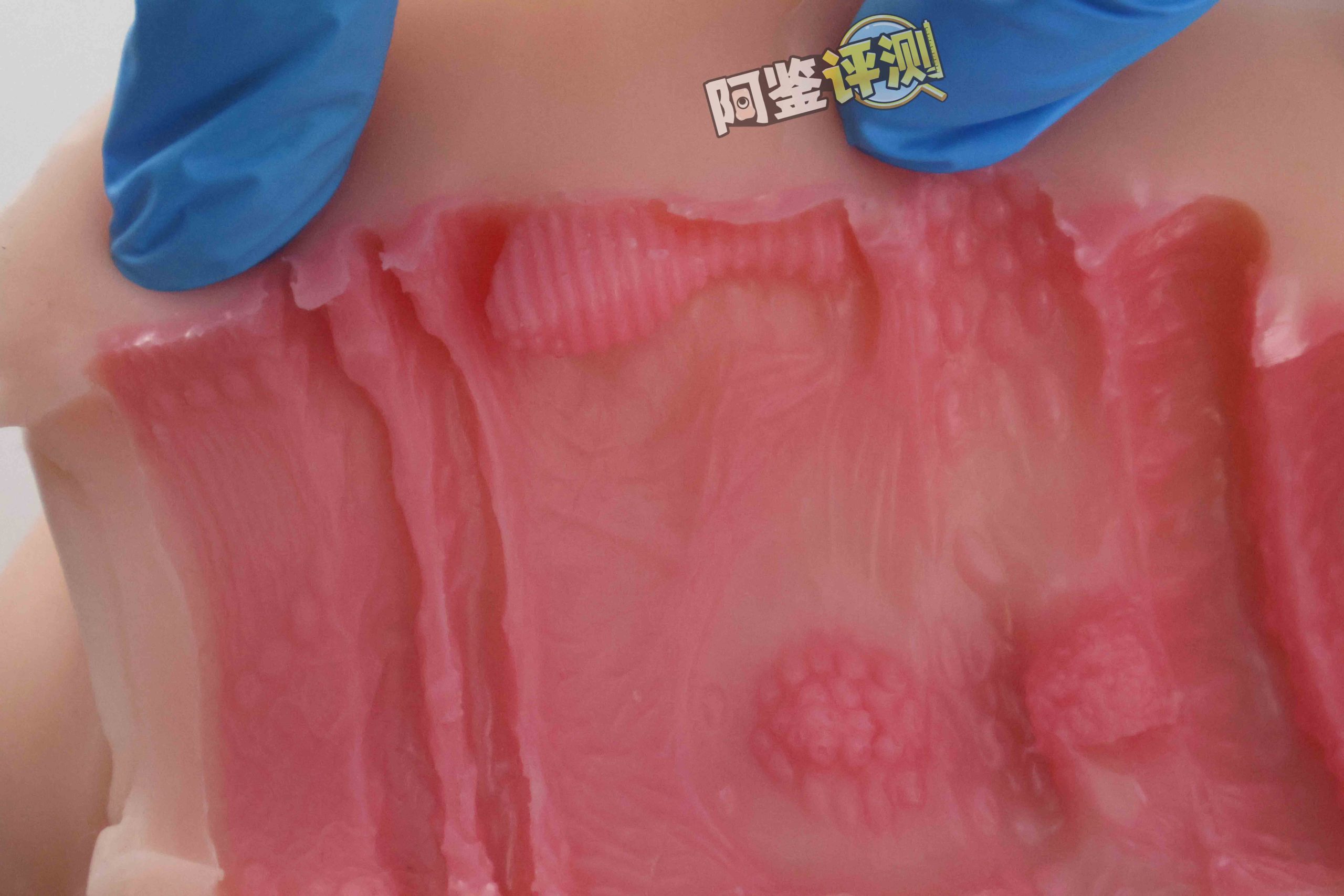 GXP—“异世界狐娘”评测!冬天冻吊训练神器,会“翘头”的大肉粒你见过没?