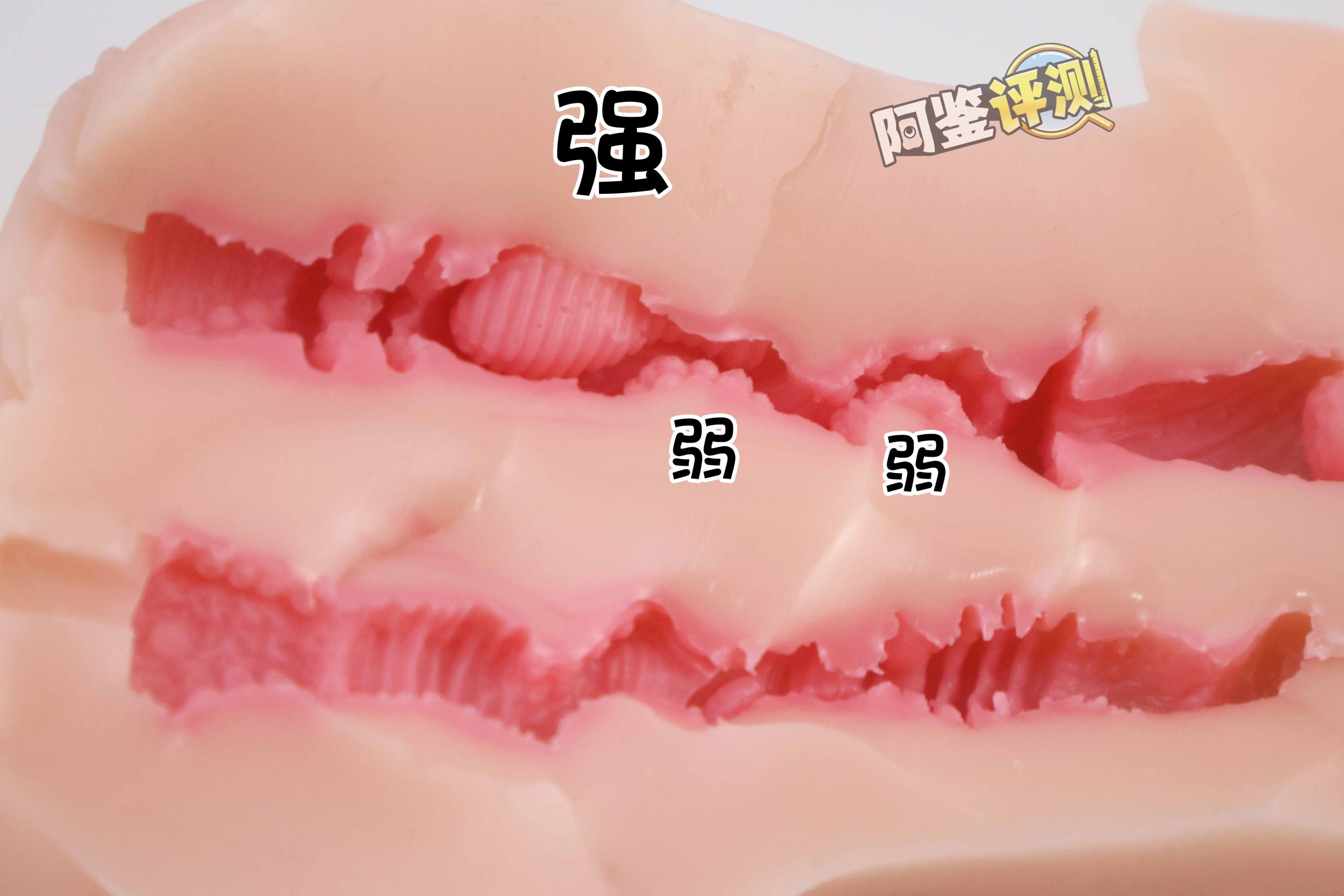 GXP—“异世界狐娘”评测!冬天冻吊训练神器,会“翘头”的大肉粒你见过没?