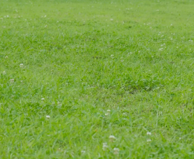 RIDE JAPAN——“软绵黑帮”,超软层加持的毛感剐蹭,敢不敢比划比划?