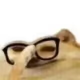 2023年终(至12月31日)评测综合排名!新年就要玩新杯!年假弟弟喷个爽!