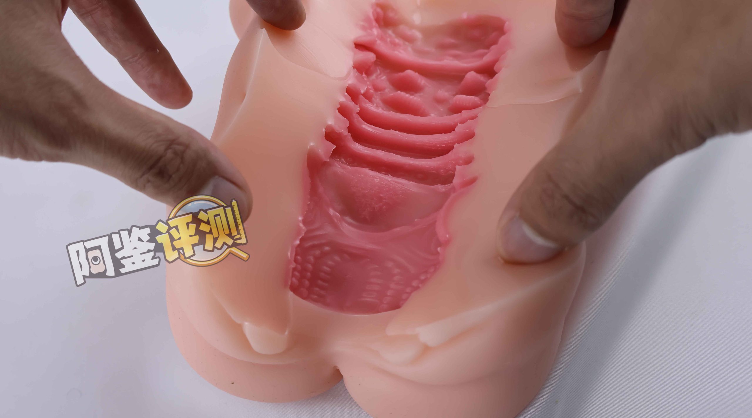 AGIaegir——“星座传说-魔蝎座”评测!新品牌试水之作,肉片结构表现如何?