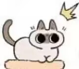 GXP——“夏威夷之旅”评测!最夸张的20kg“健身道具”,两处软胶的(超级贵)娃娃级玩具!