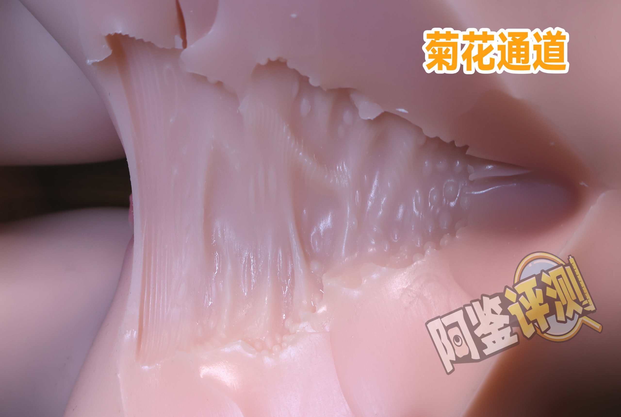 GXP——“夏威夷之旅”评测!最夸张的20kg“健身道具”,两处软胶的(超级贵)娃娃级玩具!