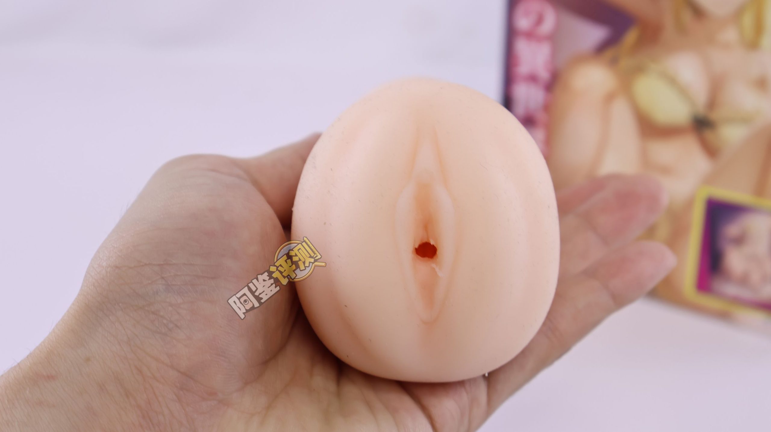 汤玛托易士——“异世界后宫物语—娜塔莉亚”评测!肉片杯这东西真的是越做越无聊了