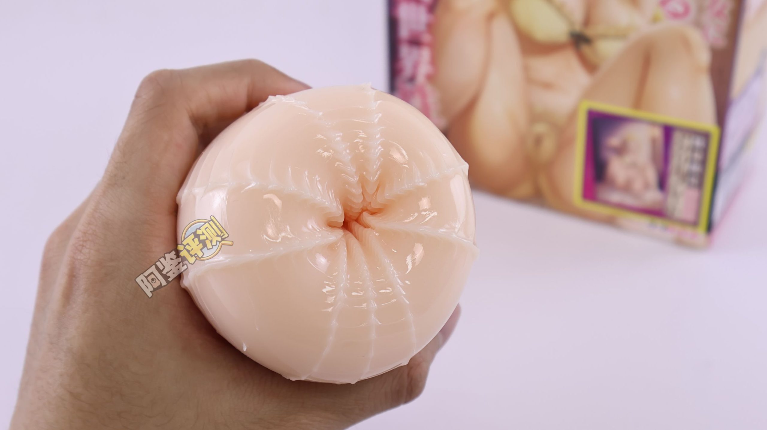 汤玛托易士——“异世界后宫物语—娜塔莉亚”评测!肉片杯这东西真的是越做越无聊了