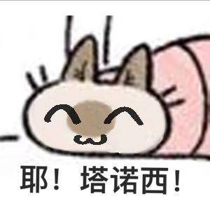 PPP——“对魔忍-不知火”评测!无论是细心研究还是歪打正着,这都是不错的平衡