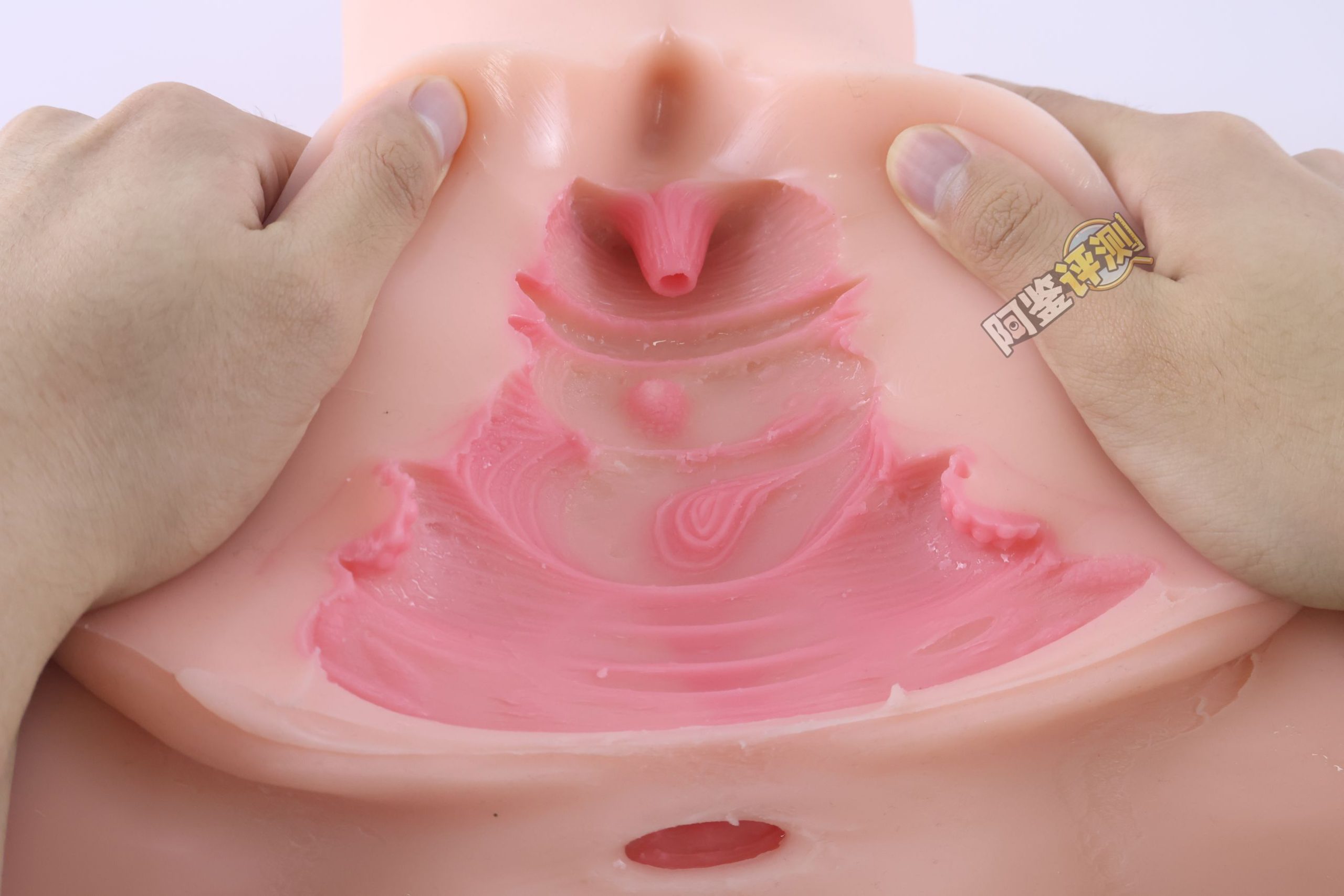 Kaguyano——“符津宵子”评测!能超越“纯洁之体”的部分,似乎只有材料的软度这一点了