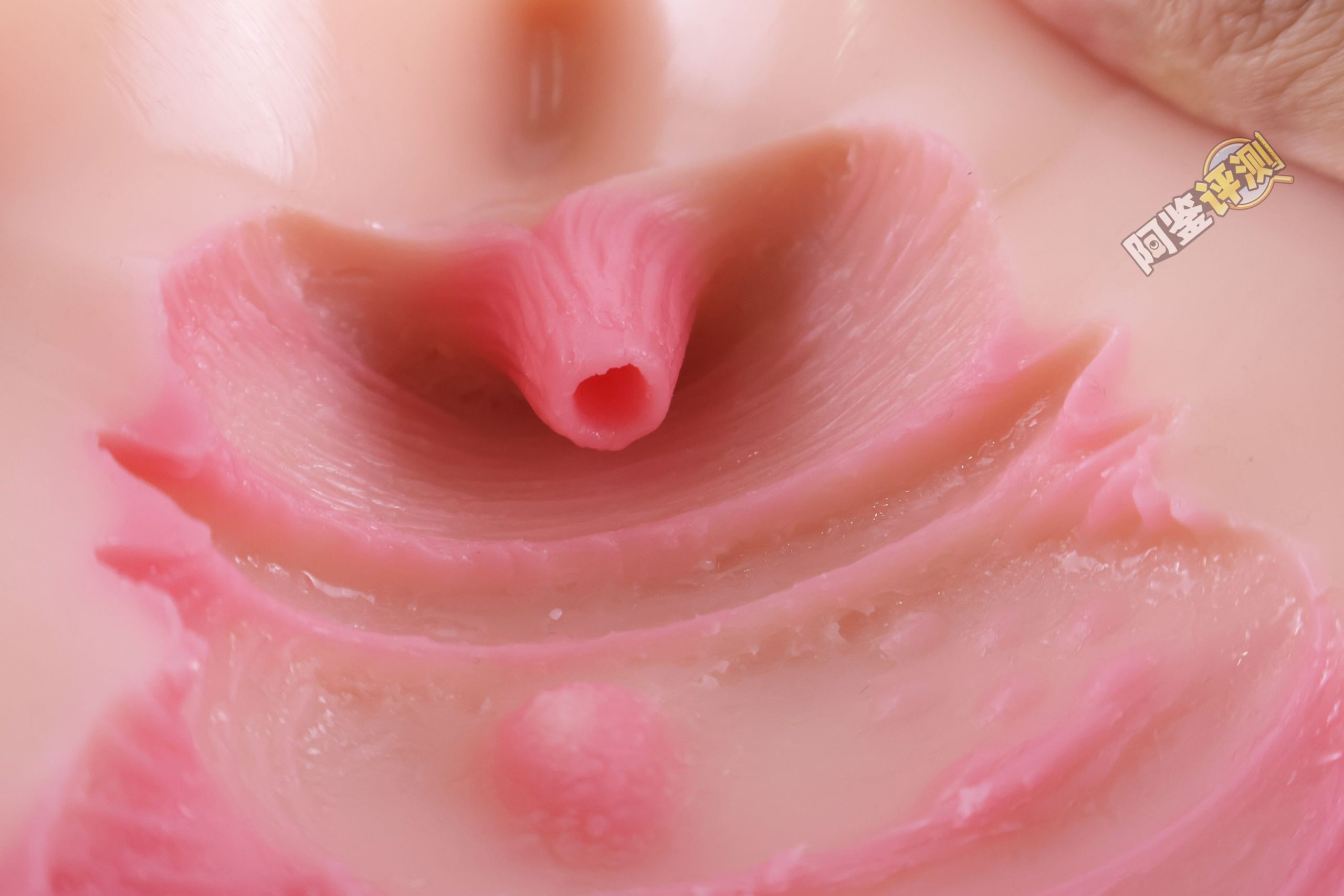 Kaguyano——“符津宵子”评测!能超越“纯洁之体”的部分,似乎只有材料的软度这一点了