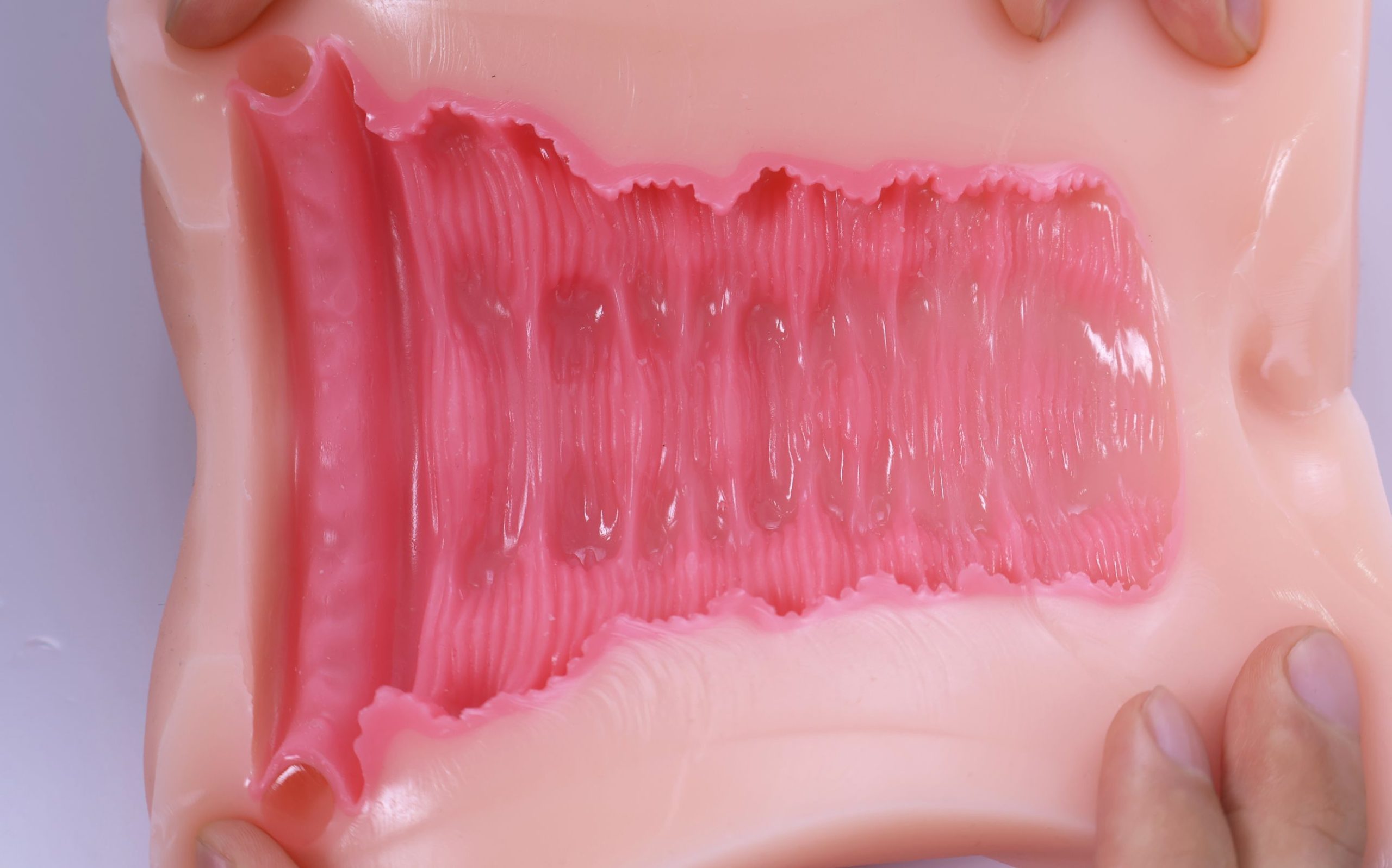 LoveFactor——“萌妻解禁”评测!久违的约束环菊花杯,似曾相识的三层材质结构