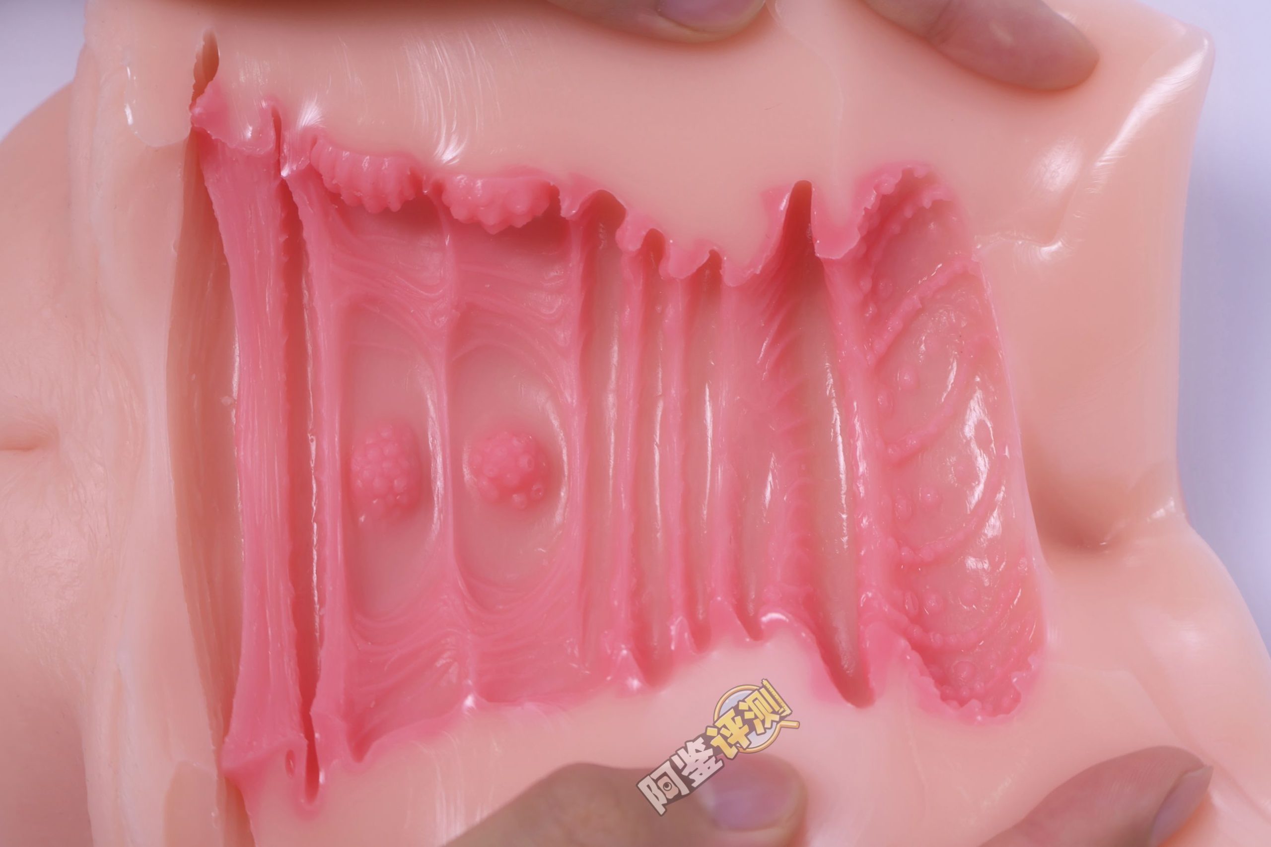 GXP——“白丝壁女2代(hard版)”评测!更加硬质的肉片结构,完全改变了整个杯子的体验画风!