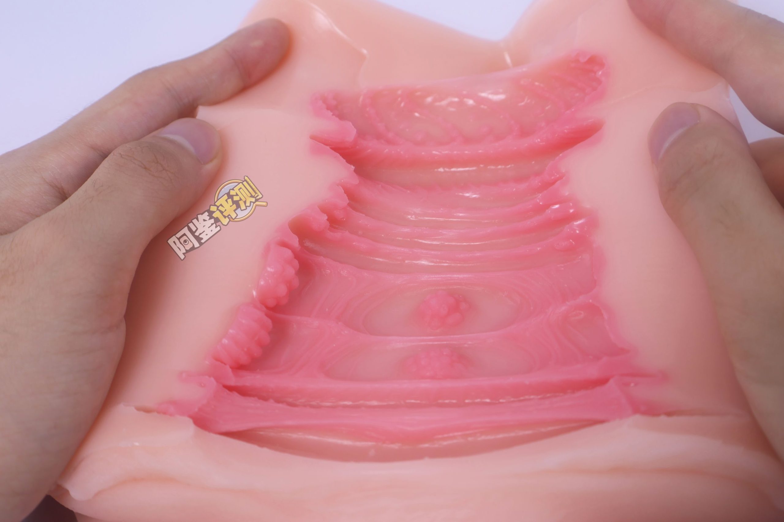 GXP——“白丝壁女2代(hard版)”评测!更加硬质的肉片结构,完全改变了整个杯子的体验画风!