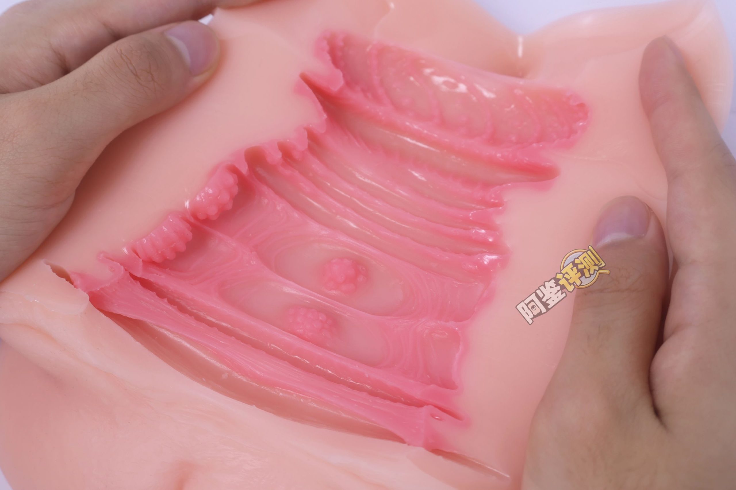 GXP——“白丝壁女2代(hard版)”评测!更加硬质的肉片结构,完全改变了整个杯子的体验画风!