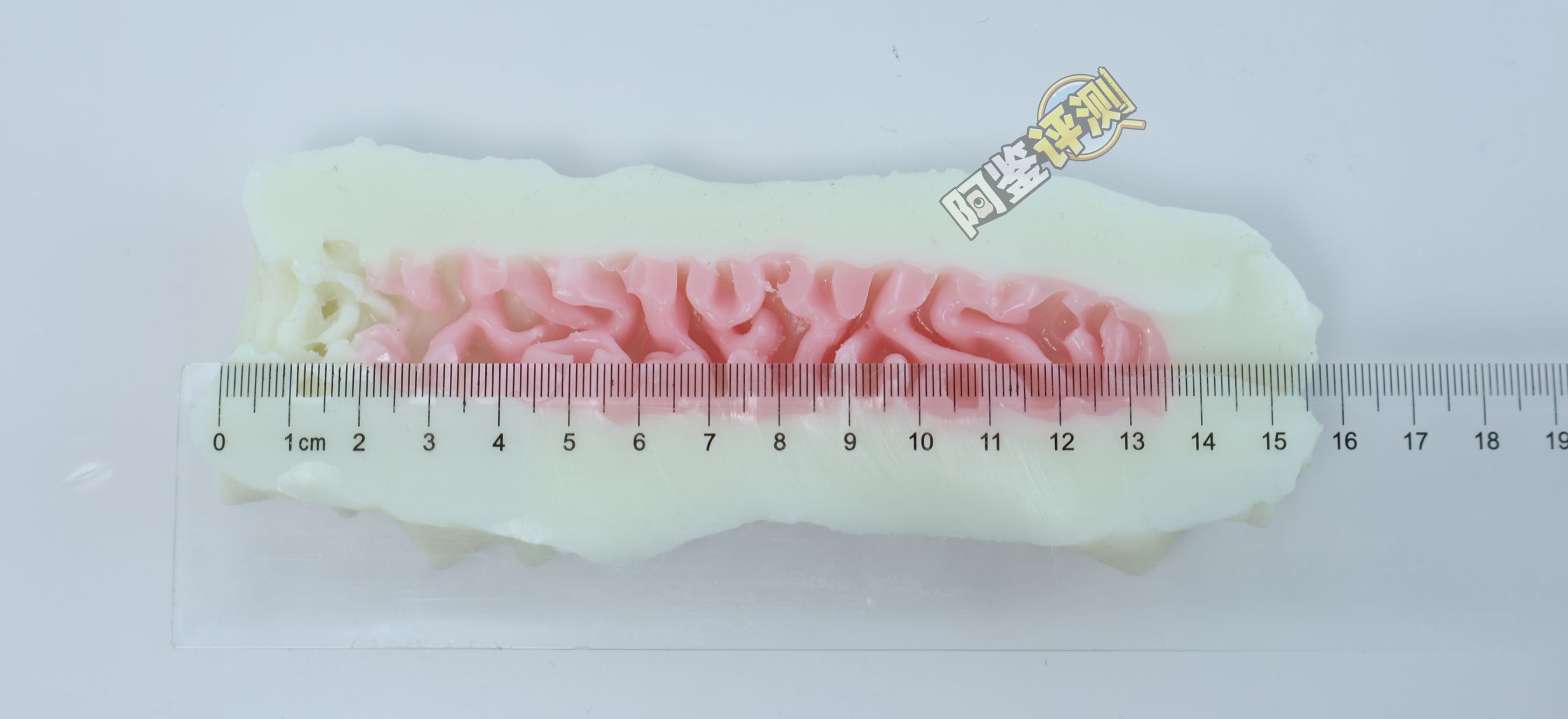 国产大魔王——“白丸”评测!虽然外形手感非常奇怪,但通道的剐蹭感不错