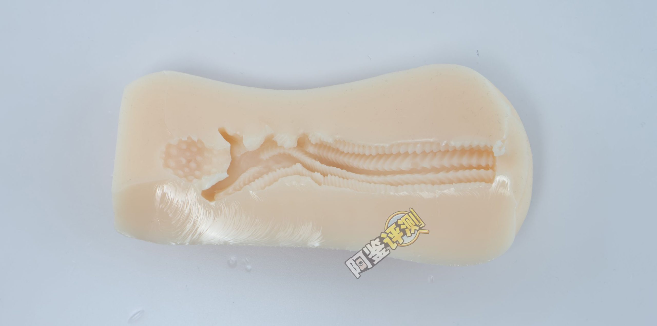 汤玛托易士——“异世界后宫物语—娜塔莉亚”评测!肉片杯这东西真的是越做越无聊了