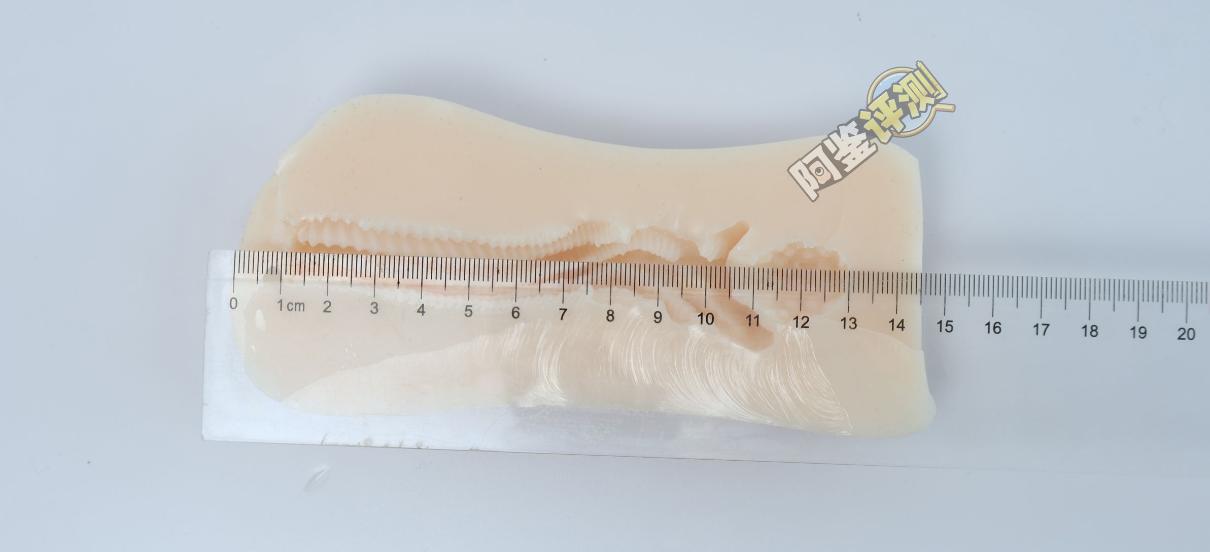 汤玛托易士——“异世界后宫物语—娜塔莉亚”评测!肉片杯这东西真的是越做越无聊了