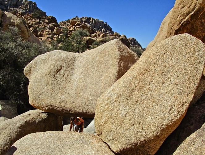 火炮——“残暴的阿丽奈”评测!平坦的“砂纸结构”,真空玩法下居然意外的体验很爽?