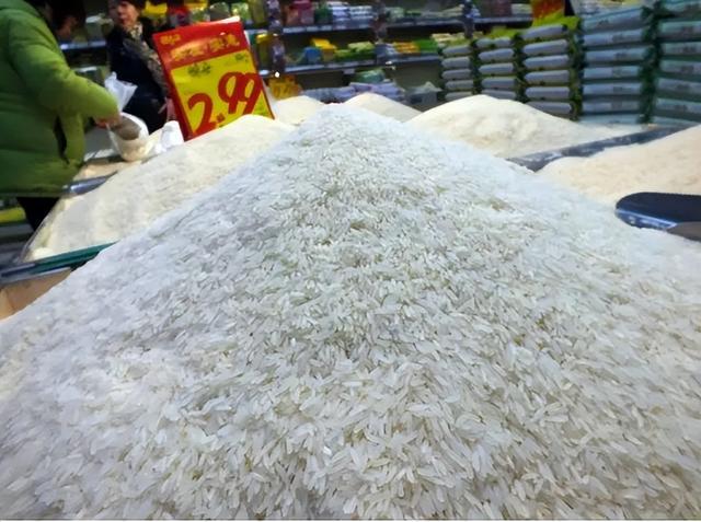 火炮——“残暴的阿丽奈”评测!平坦的“砂纸结构”,真空玩法下居然意外的体验很爽?