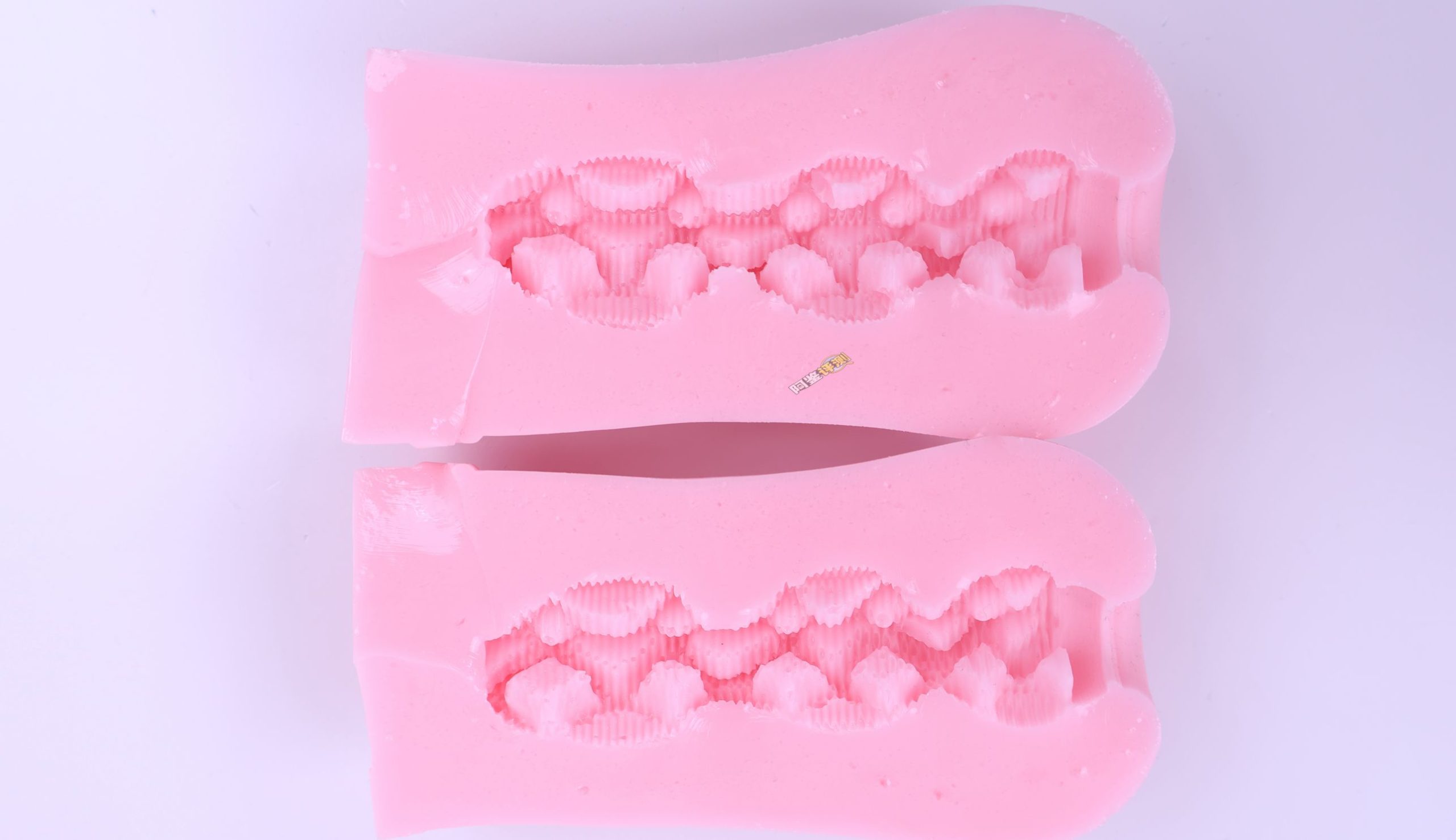 RIDE JAPAN——“Panky Mesh”!狂野,震撼亚洲!完全符合人设的危险风格