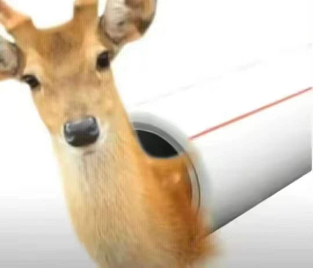 汤玛托易士——“异世界后宫物语—娜塔莉亚”评测!肉片杯这东西真的是越做越无聊了