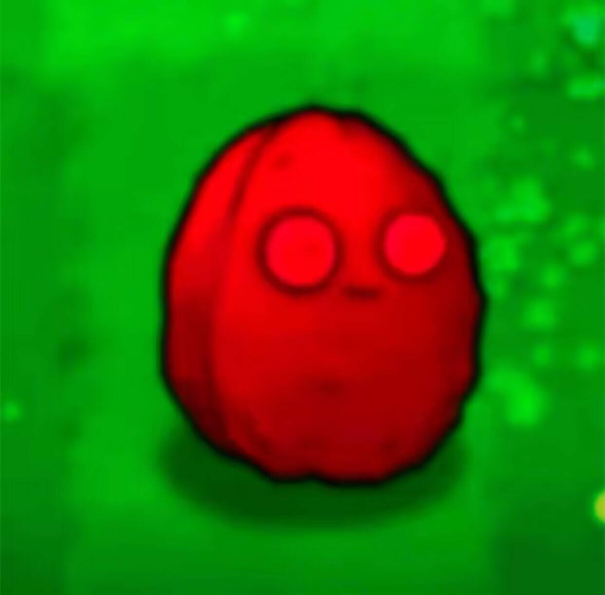 GOSE——“生榨牧场”评测!8kg的逆天大软臀,超级加码回弹感的“大鬼泡芙”