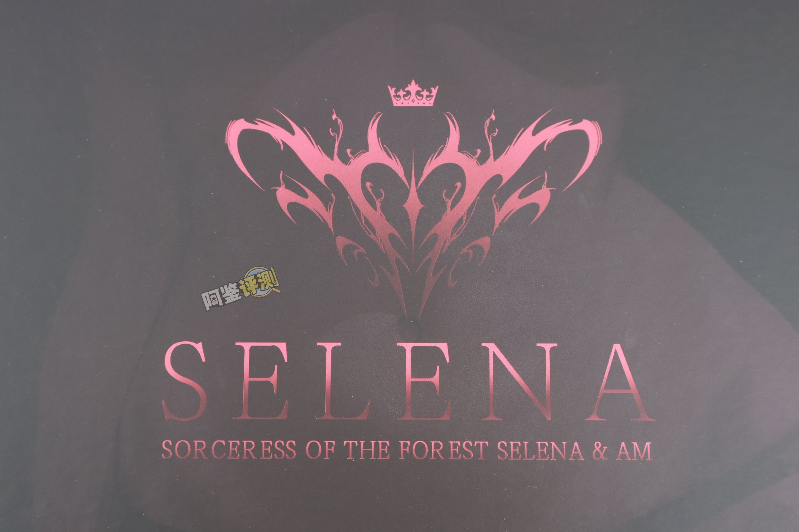 TMT——“魔女之森”评测！除了使用体验以外都挺精致，杯界的时尚小垃圾