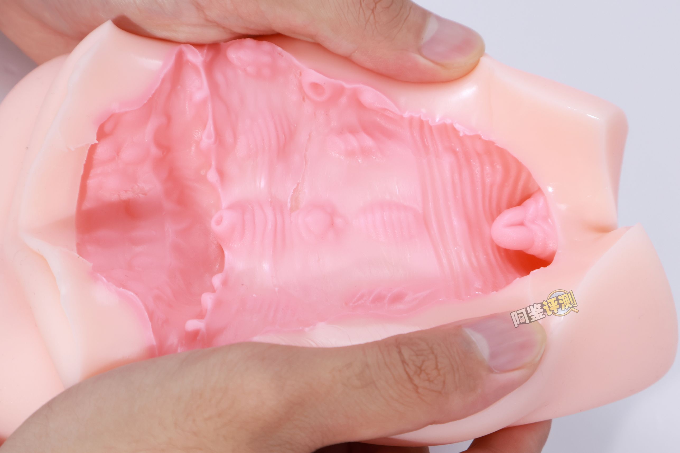 TMT——“魔女之森”评测!除了使用体验以外都挺精致,杯界的时尚小垃圾