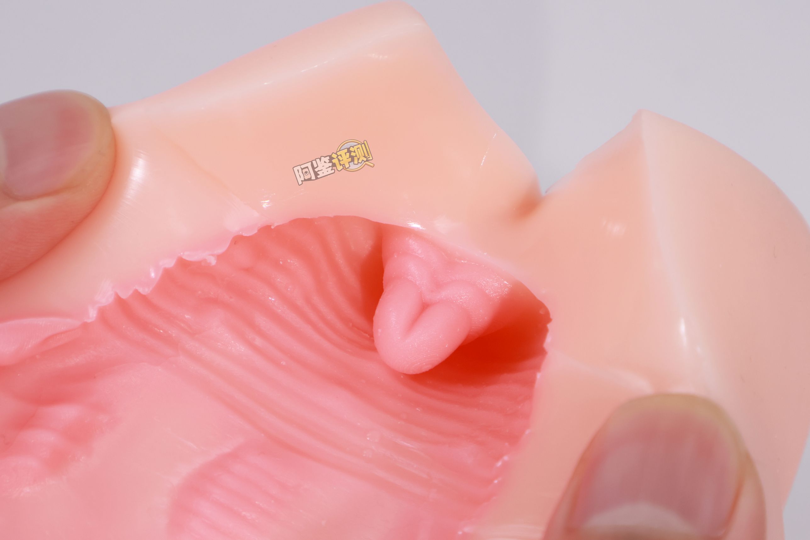 TMT——“魔女之森”评测!除了使用体验以外都挺精致,杯界的时尚小垃圾