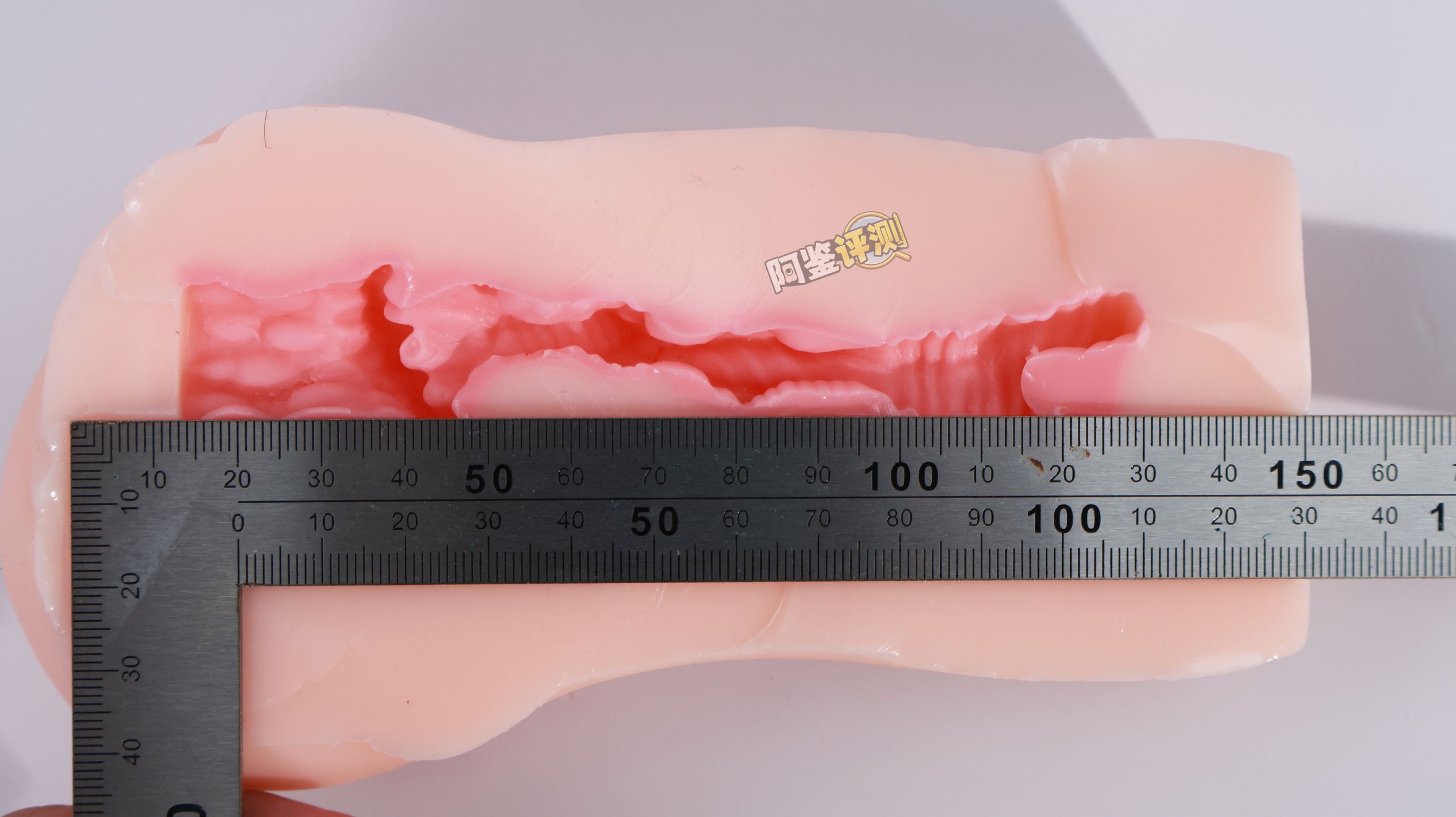 TMT——“魔女之森”评测!除了使用体验以外都挺精致,杯界的时尚小垃圾