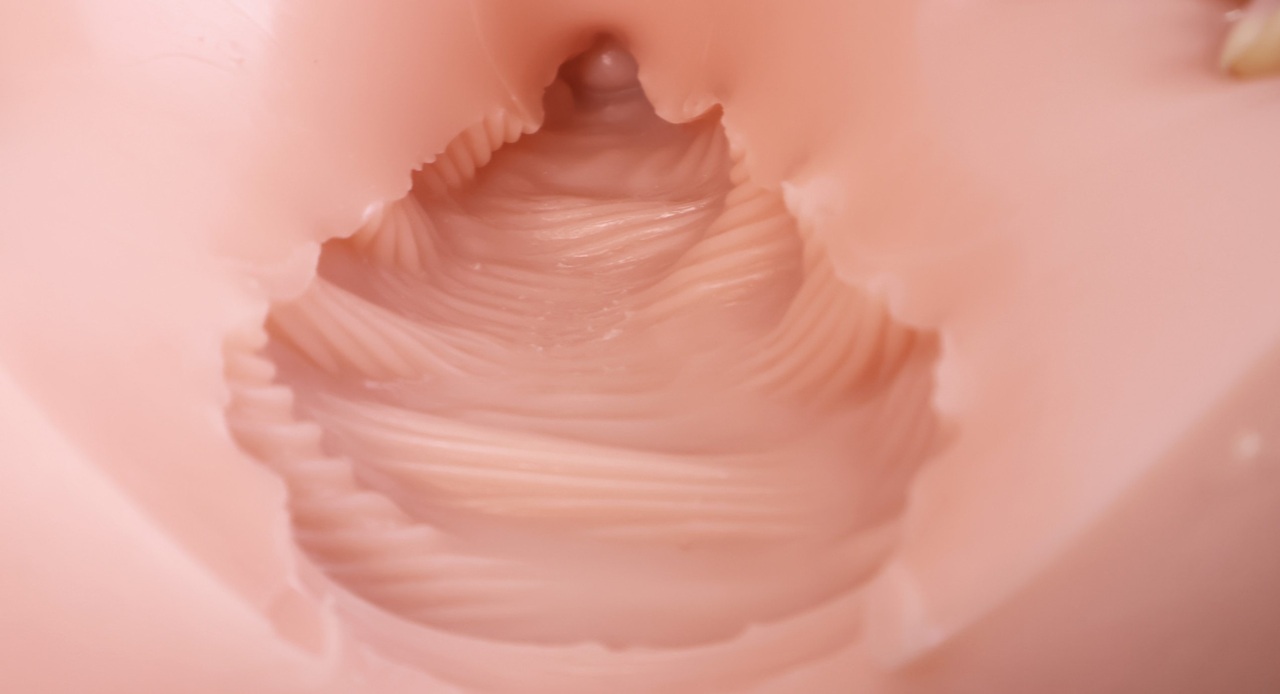 GOSE——“美臀殿堂”评测!即使是“殿堂”级的换穴炮架臀,你会真的选择使用吗?(上)